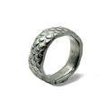 Chronicle - Silver